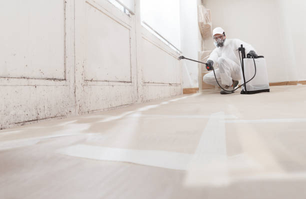 24/7 Emergency Mold Cleanup experts in Yorktown, TX