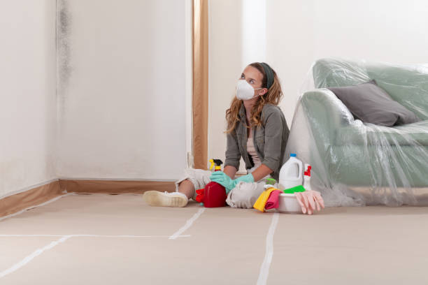 Reliable Mold Cleanup contractor in Yorktown, TX by Cheap Mold Removal